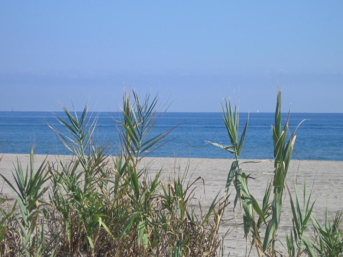 קאנט אן רוסיון Studio Vue Sur La Mer Au 6Eme Et Dernier Etage מראה חיצוני תמונה